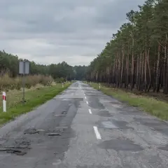 Droga przez las z wybojami. Słupki graniczne drogi, co ile są na autostradzie, wyznaczają jej krawędź.