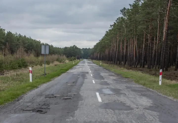Droga przez las z wybojami. Słupki graniczne drogi, co ile są na autostradzie, wyznaczają jej krawędź.