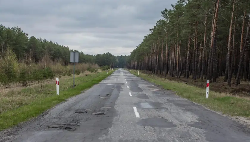 Droga przez las z wybojami. Słupki graniczne drogi, co ile są na autostradzie, wyznaczają jej krawędź.