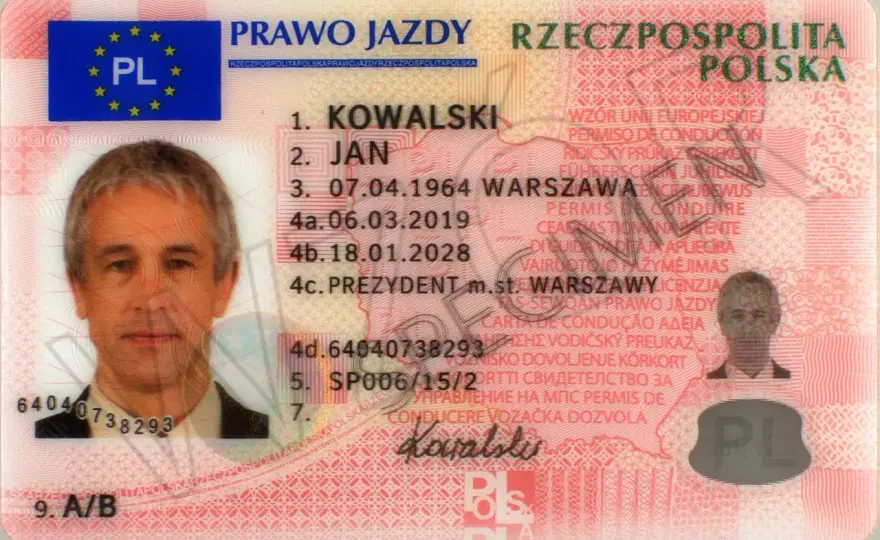Numer druku prawa jazdy: Gdzie go szukać? Sprawdź status!