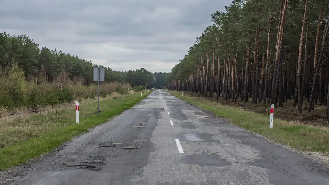 Droga przez las z wybojami. Słupki graniczne drogi, co ile są na autostradzie, wyznaczają jej krawędź.