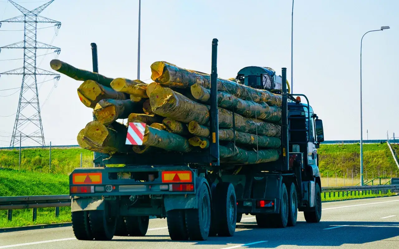 Ciężarówka z drewnem na autostradzie. Widać, ile może wystawać towar z naczepy, z oznaczeniami ostrzegawczymi.
