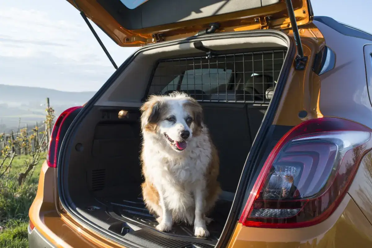 Opel Mokka B bagażnik